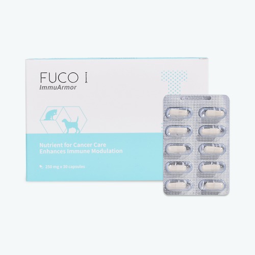 FUCO I 일반용량 [30 capsule]